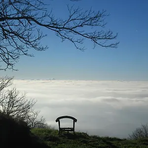 https://montalma-monchique.hotelaalgarve.com