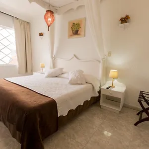 https://san-andres-noblehouse-hotel-san-andres.sanandreshotels.com